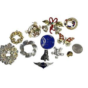 Estate Brooch‎ Pins Mixed Lot of 12 Pieces Dog Butterfly Rhinestones Amber Glass